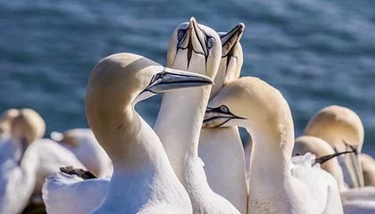 乐鱼-5分钟2球!余星悦助攻郑璐抢点破门完成双响,U20女足2-0领先越南